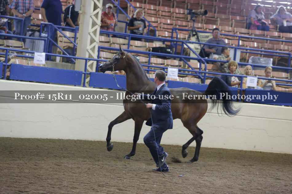 Proof 15R11_02005