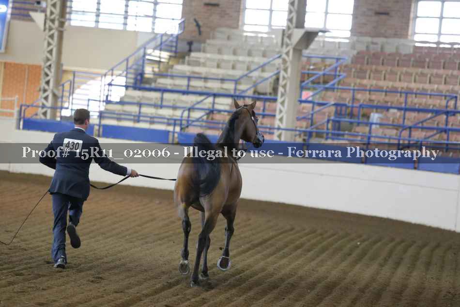Proof 15R11_02006