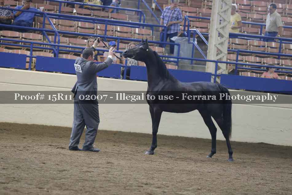 Proof 15R11_02007