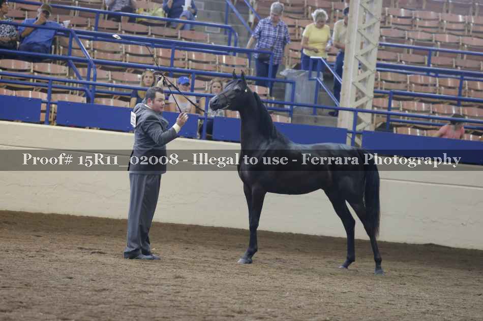 Proof 15R11_02008
