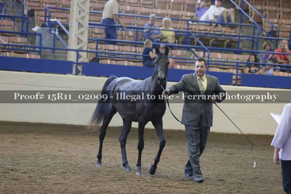 Proof 15R11_02009