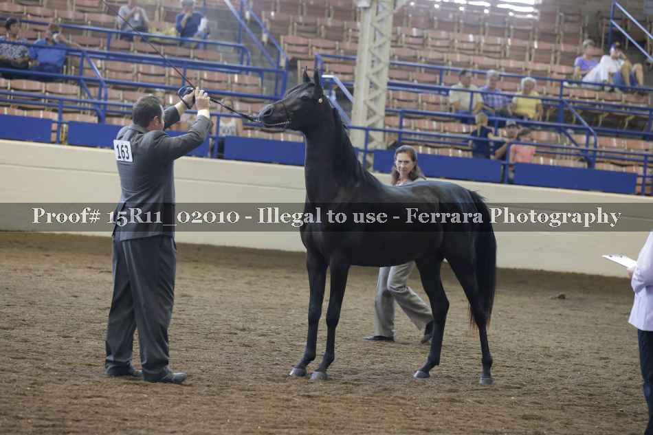Proof 15R11_02010