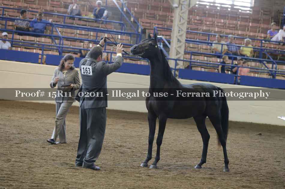 Proof 15R11_02011