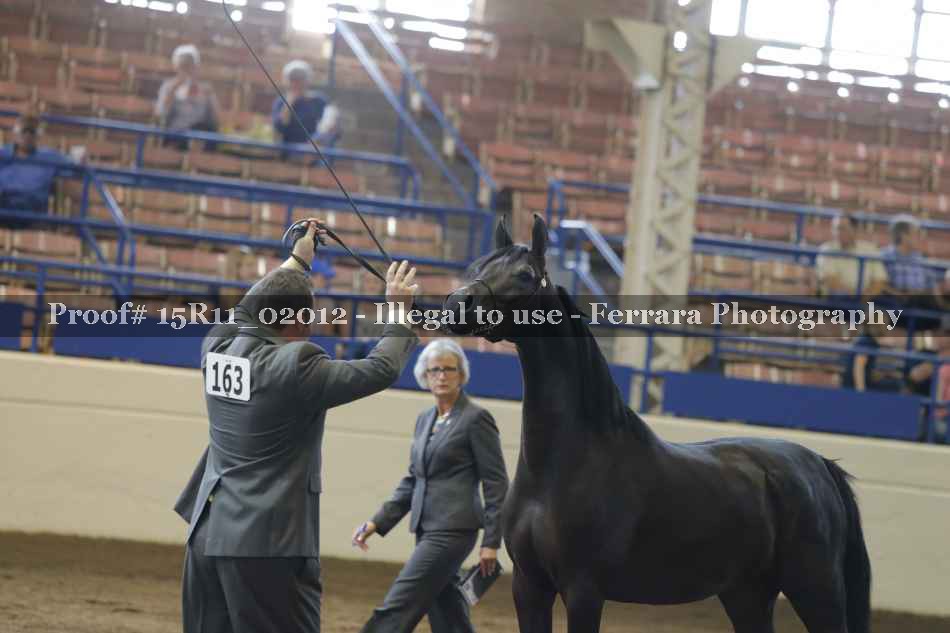 Proof 15R11_02012