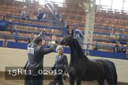 15R11_02012 proof