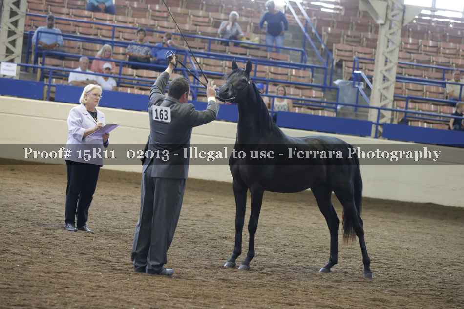 Proof 15R11_02013