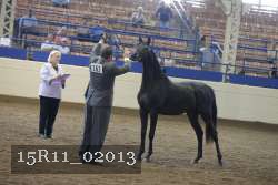15R11_02013 proof