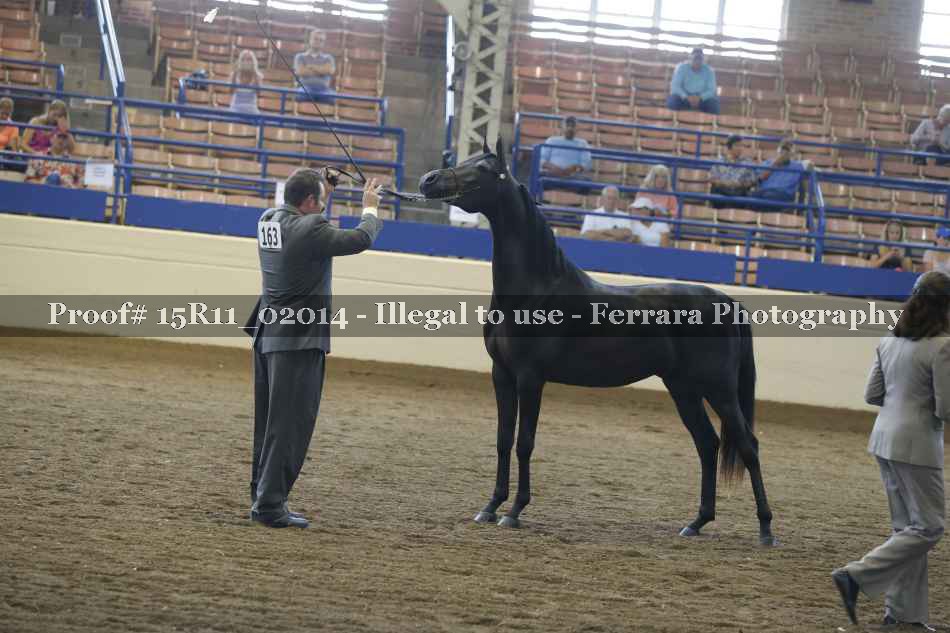 Proof 15R11_02014