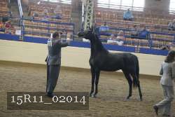 15R11_02014 proof