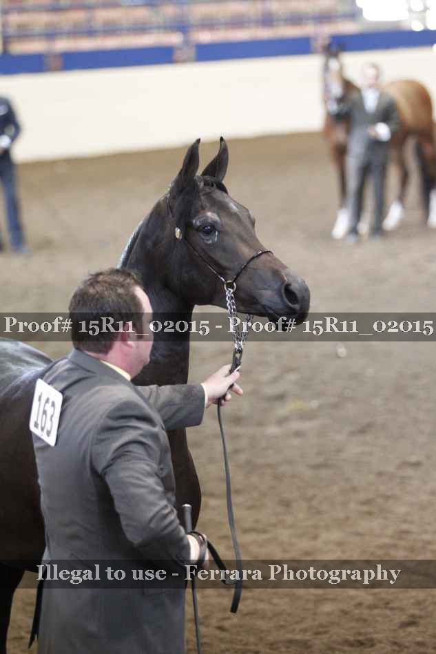 Proof 15R11_02015