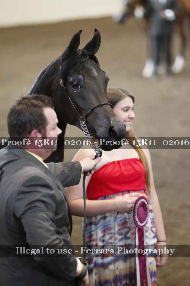 Proof 15R11_02016