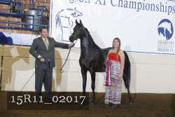 15R11_02017 proof