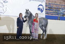 15R11_02019 proof