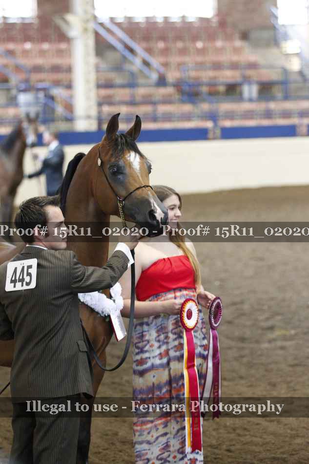 Proof 15R11_02020