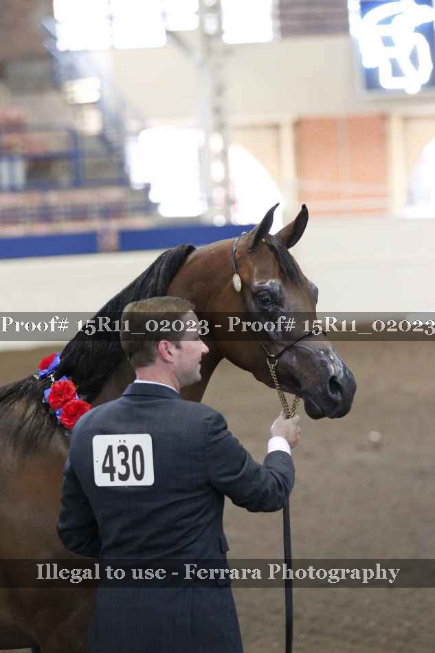 Proof 15R11_02023