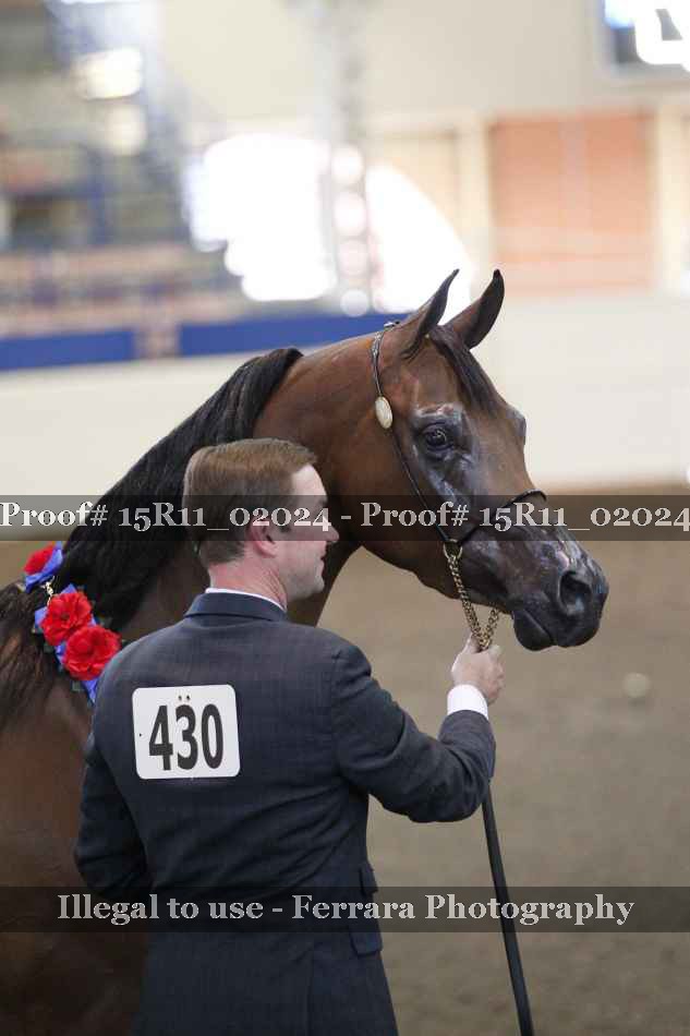 Proof 15R11_02024