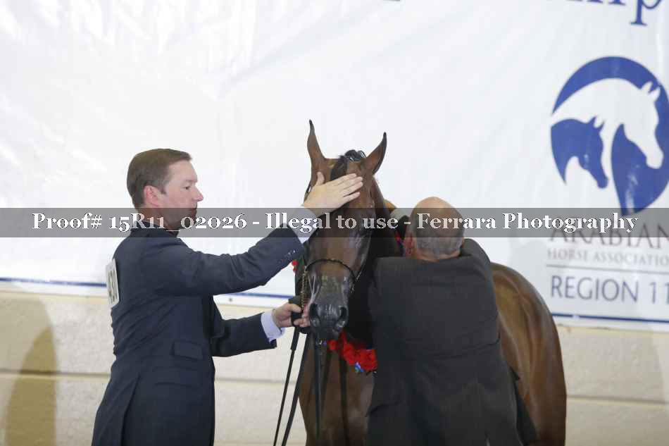Proof 15R11_02026