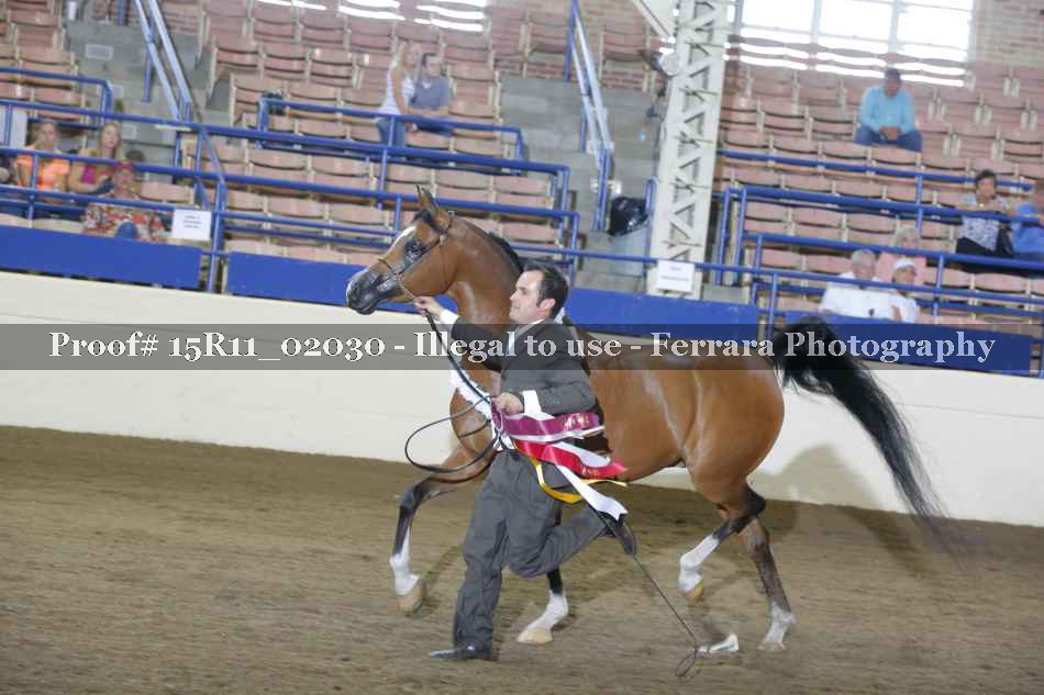 Proof 15R11_02030