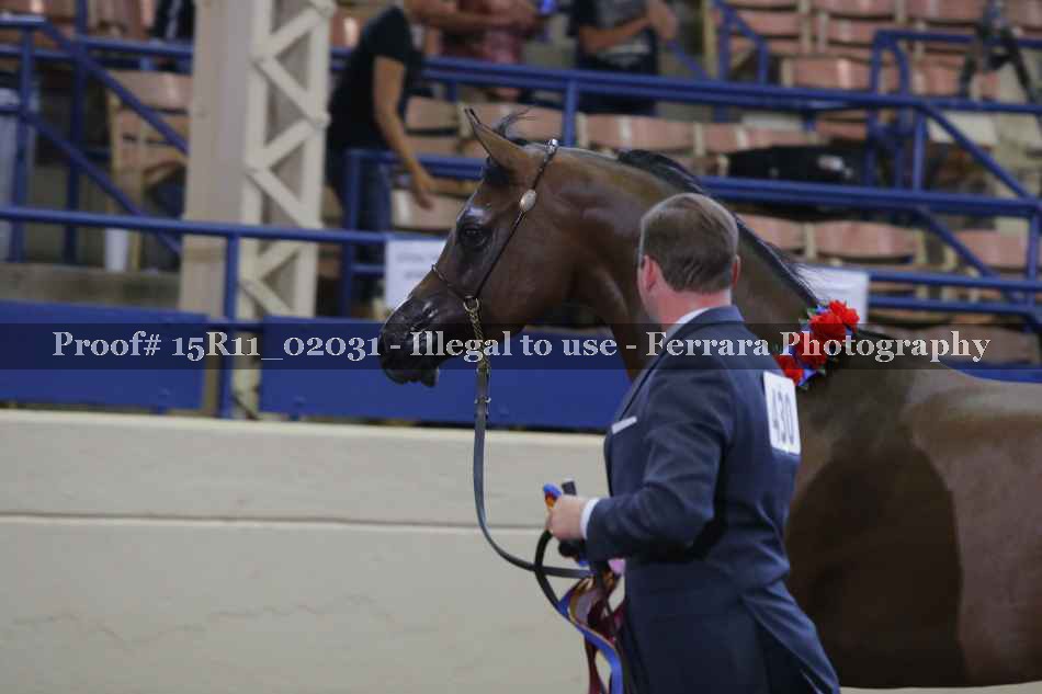 Proof 15R11_02031