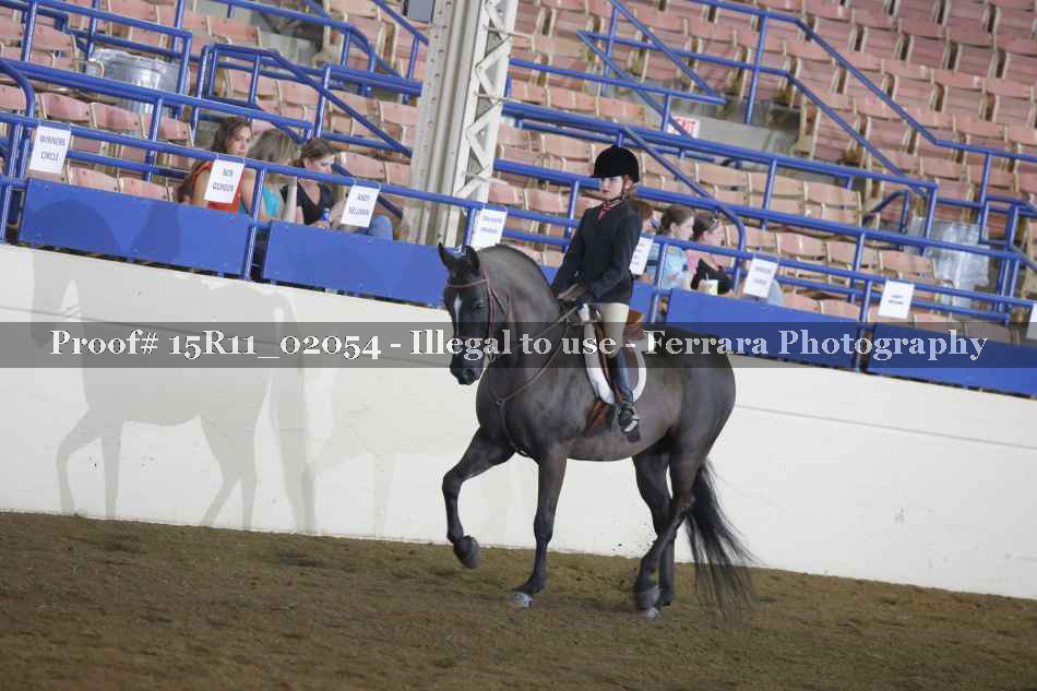 Proof 15R11_02054