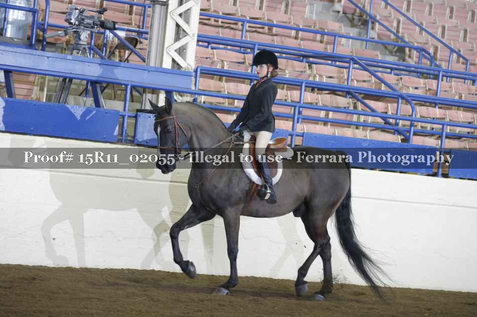 Proof 15R11_02055