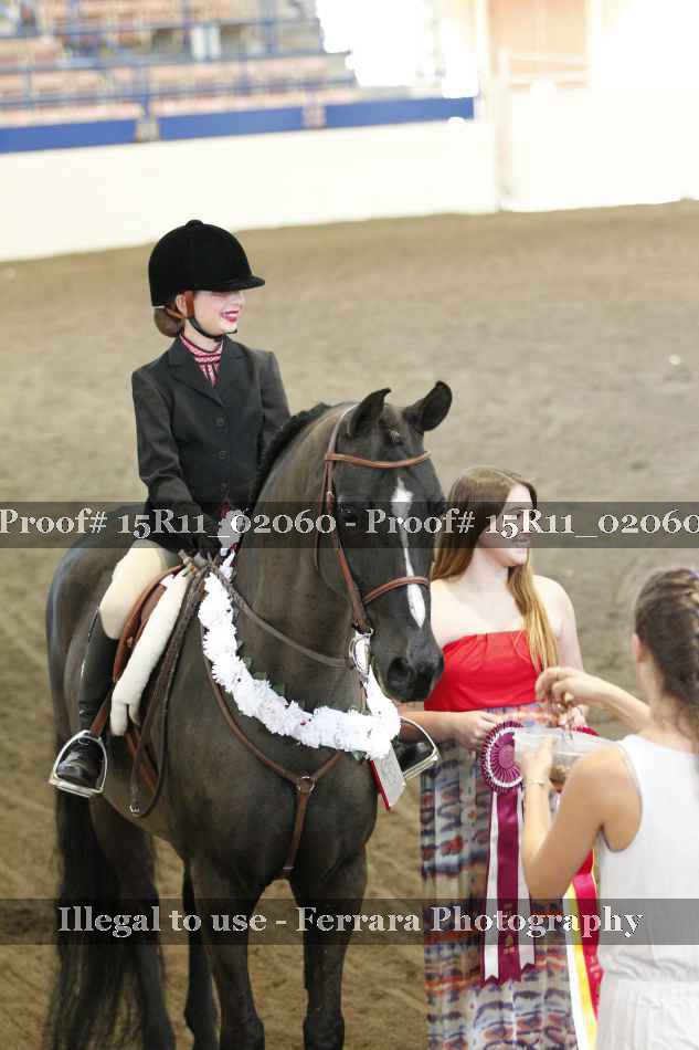 Proof 15R11_02060