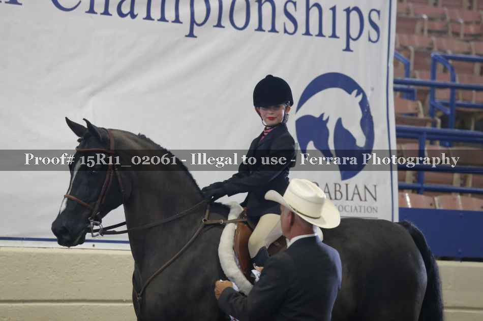 Proof 15R11_02061