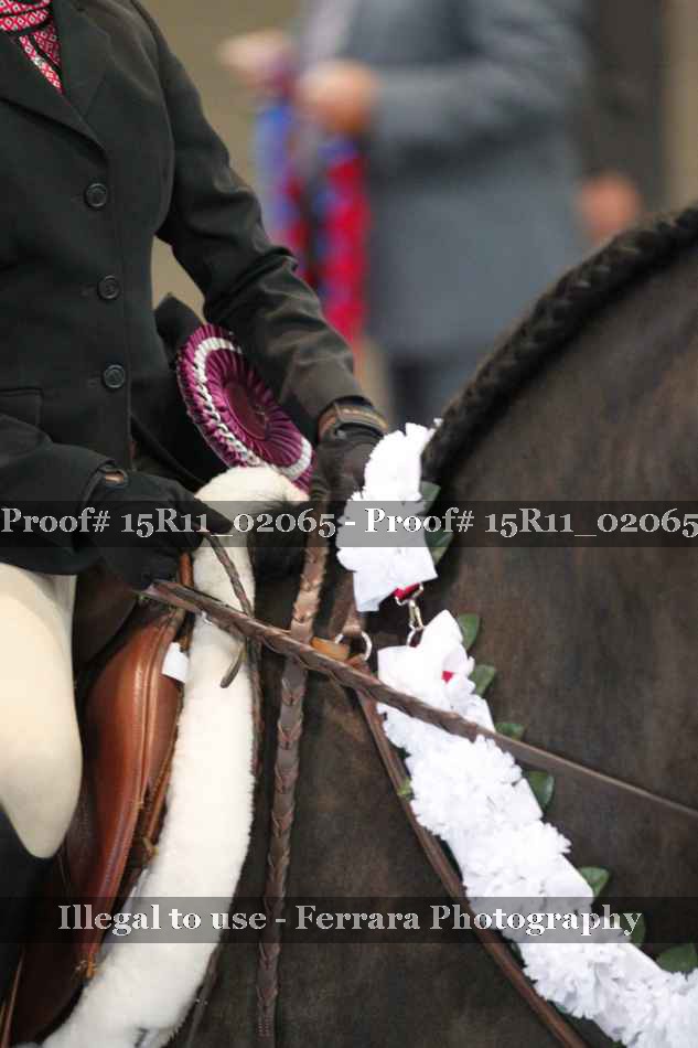 Proof 15R11_02065