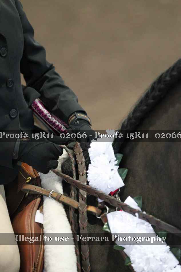 Proof 15R11_02066