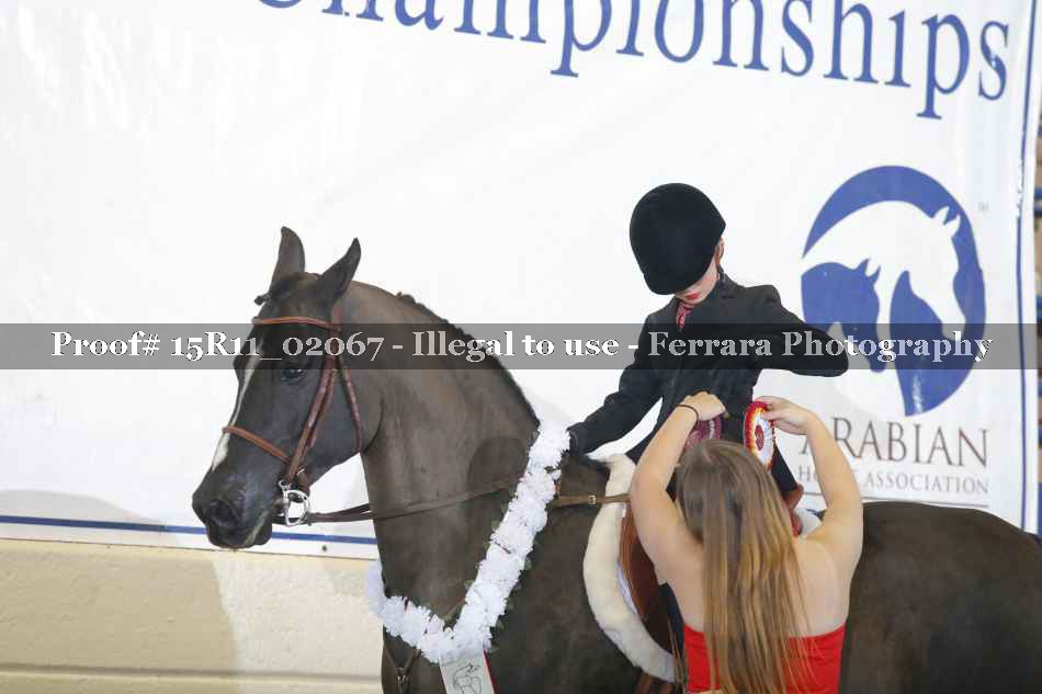 Proof 15R11_02067