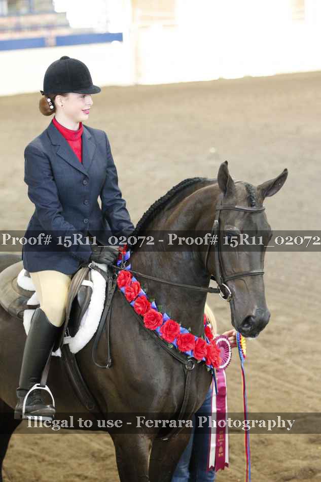 Proof 15R11_02072