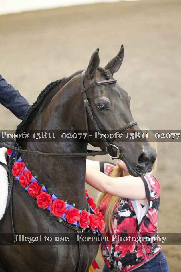 Proof 15R11_02077
