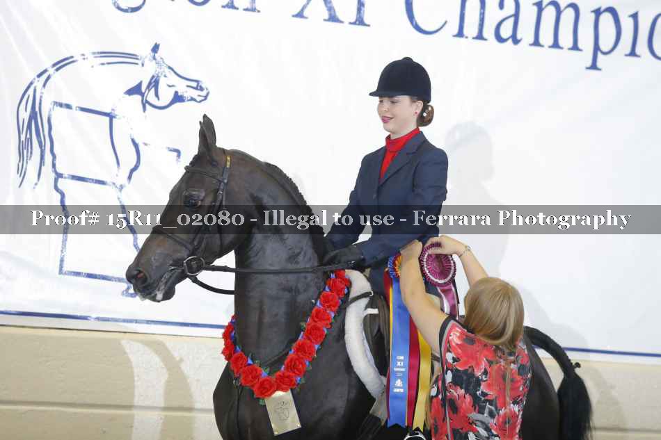 Proof 15R11_02080