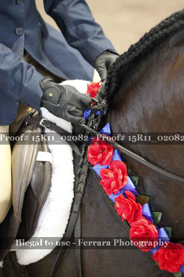 Proof 15R11_02082