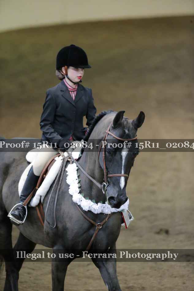 Proof 15R11_02084