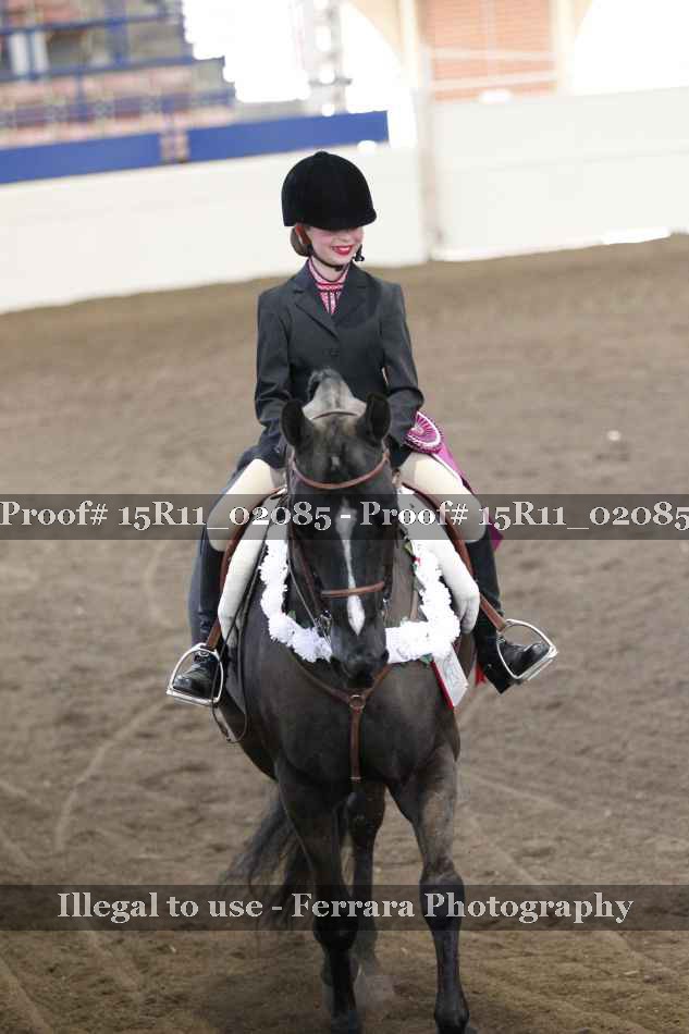 Proof 15R11_02085
