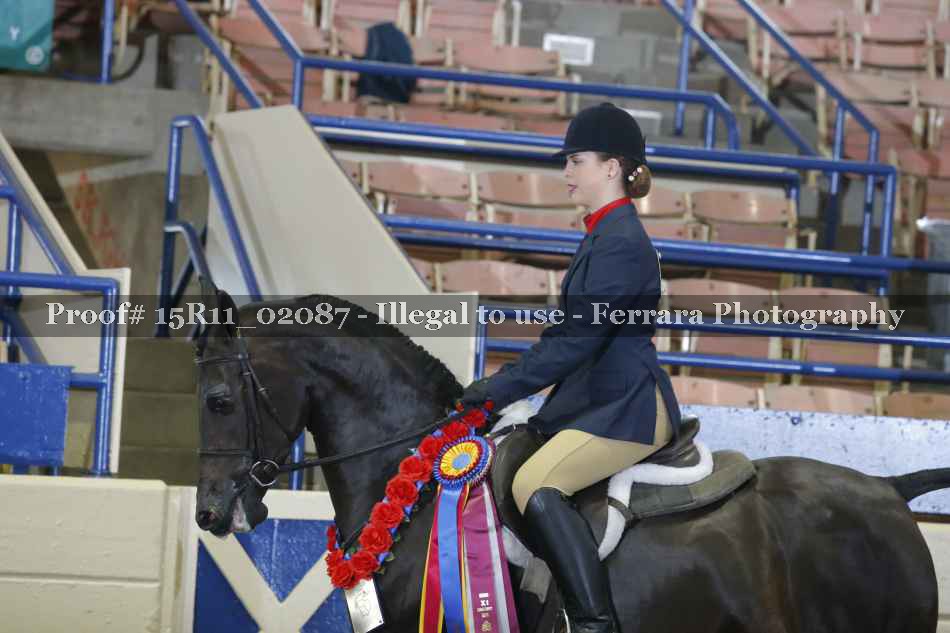 Proof 15R11_02087