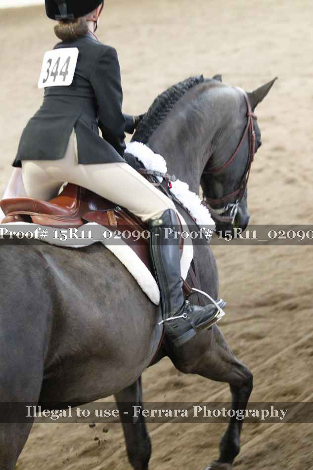 Proof 15R11_02090