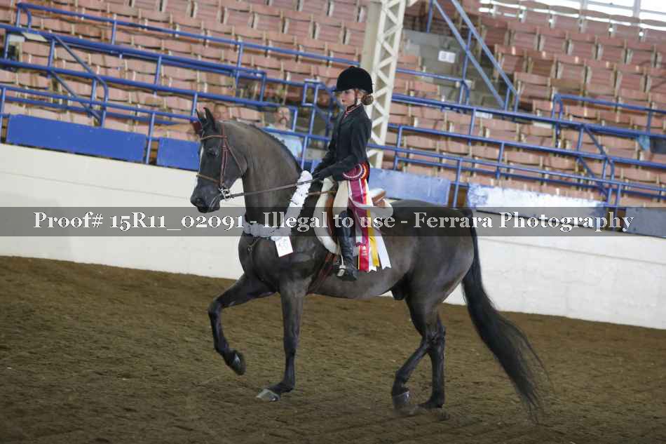 Proof 15R11_02091