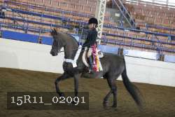 15R11_02091 proof