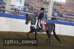 15R11_02092 proof