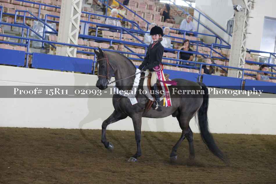 Proof 15R11_02093