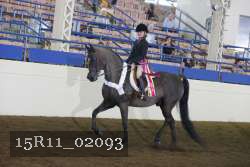 15R11_02093 proof