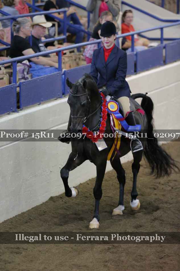 Proof 15R11_02097