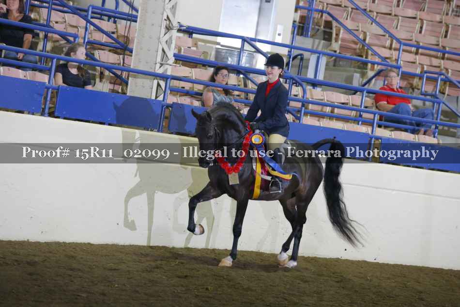 Proof 15R11_02099