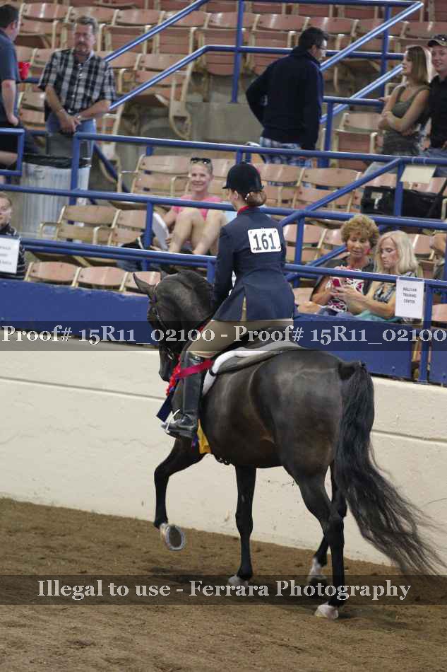 Proof 15R11_02100