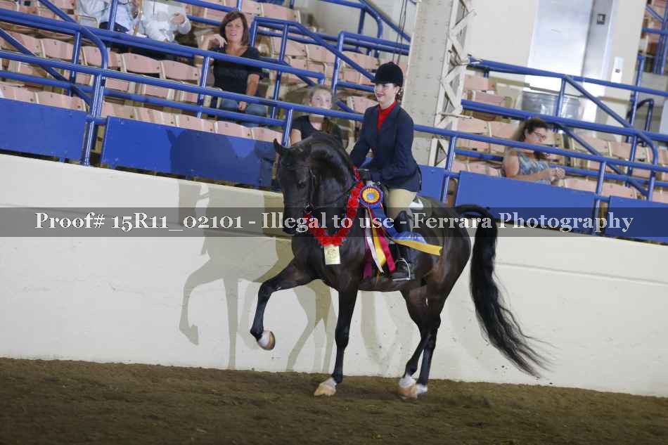 Proof 15R11_02101