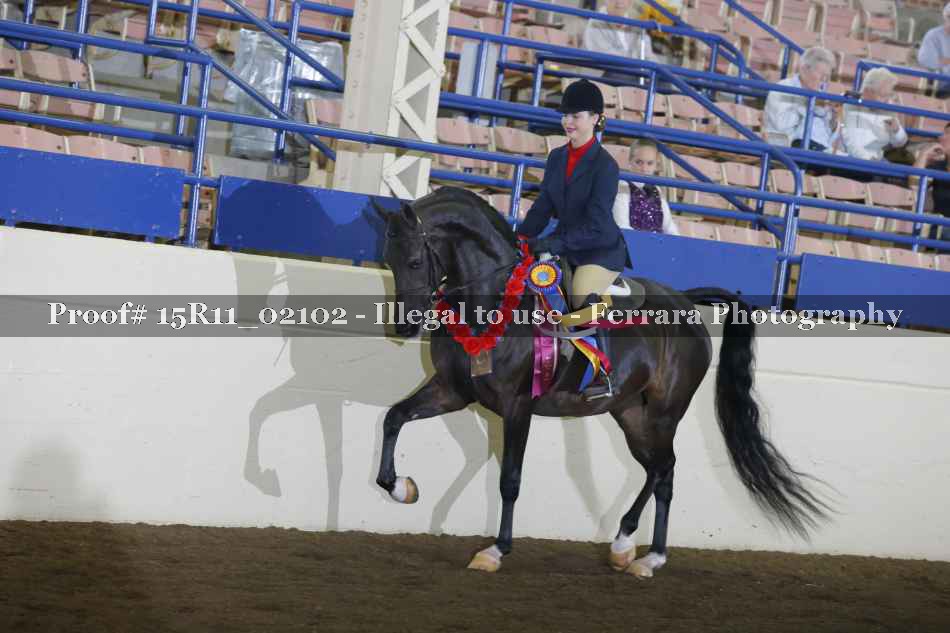 Proof 15R11_02102