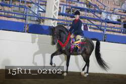 15R11_02102 proof