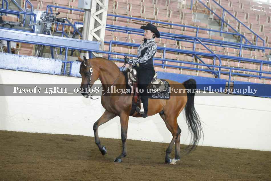 Proof 15R11_02108